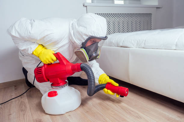 Best Residential Pest Control  in King City, OR